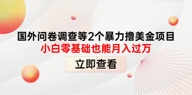 国外问卷调查等2个暴力撸美金项目，小白零基础也能月入过万