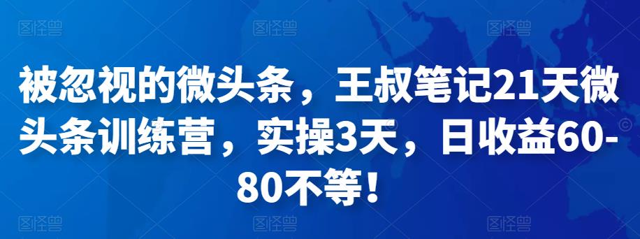 图片[1]-被忽视的微头条，王叔笔记21天微头条训练营，实操3天，日收益60-80不等