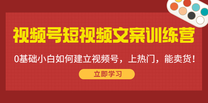 图片[1]-视频号短视频文案训练营：0基础小白如何建立视频号，上热门，能卖货！