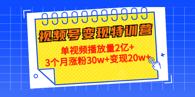 20天视频号变现特训营：单视频播放量2亿+3个月涨粉30w+变现20w+