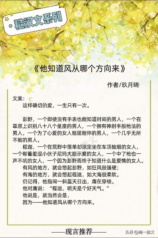 男主糙痞的肉宠文推荐（男主痞帅的宠文现言推荐）
