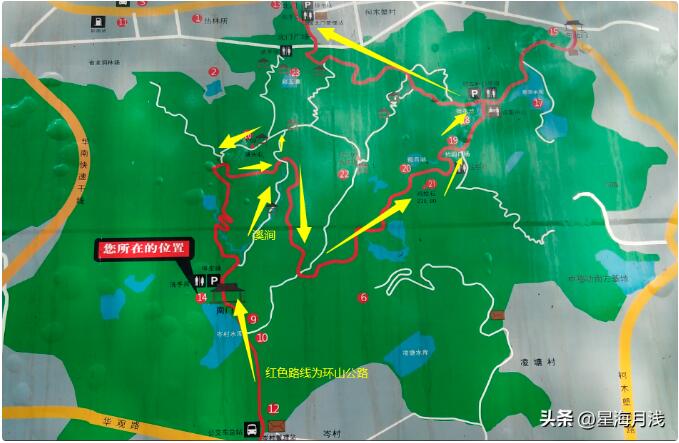 火炉山森林公园游玩攻略（广州适合徒步的山）