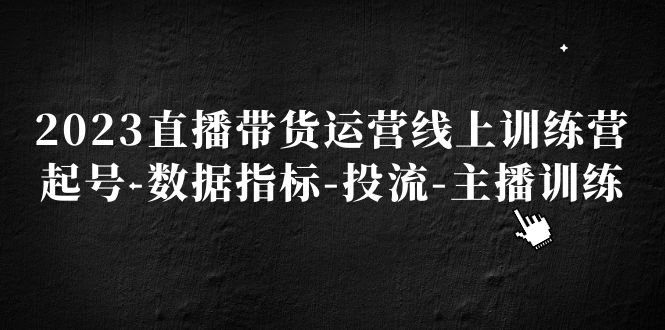 2023直播带货运营线上训练营，起号-数据指标-投流-主播训练