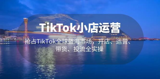 TikTok小店运营 抢占TikTok全球蓝海市场，开店、运营、带货、投流全实操-小米资源网