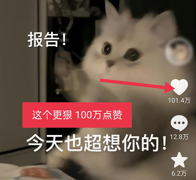 黑科技纯原创可爱猫咪图片，全网精准引流，实操5个VX号被加频繁