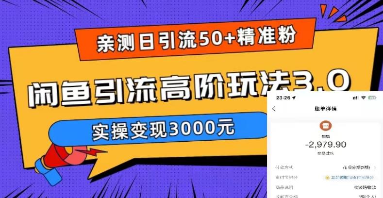 实测日引50+精准粉，闲鱼引流高阶玩法3.0，实操变现3000元-小米资源网