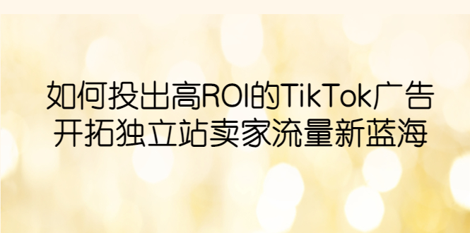 图片[1]-TikTok广告投放实战指南：开拓独立站卖家流量新蓝海，提升ROI-阿灿说钱