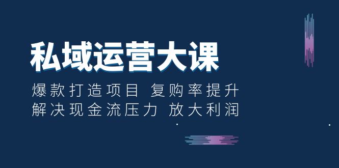 图片[1]-私域运营大课：爆款打造项目 复购率提升 解决现金流压力 放大利润-阿灿说钱