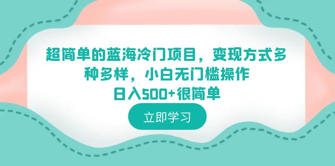 图片[1]-超简单蓝海冷门项目，小白0基础操作日入500+，多种变现方式助你轻松成功！-阿灿说钱