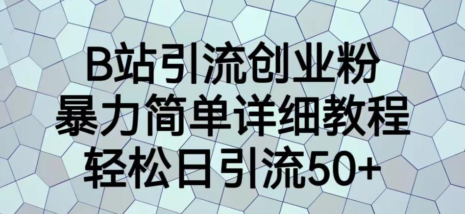 B站引流创业粉，暴力简单详细教程，轻松日引流50 【揭秘】