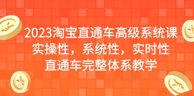 图片[1]-2023淘宝直通车高级系统课，实操性，系统性，实时性，直通车完整体系教学-阿灿说钱