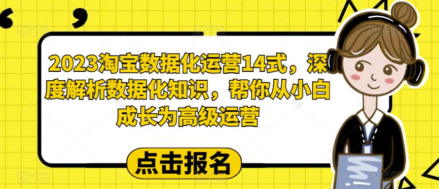 图片[1]-2023淘宝数据化-运营 14式，深度解析数据化知识，帮你从小白成长为高级运营-阿灿说钱