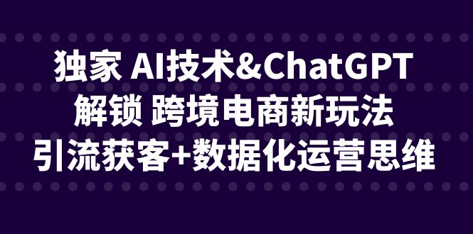 独家 AI技术&ChatGPT解锁 跨境电商新玩法，引流获客+数据化运营思维-个人经验技术分享