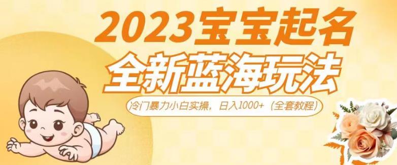 2023宝宝起名全新蓝海玩法，冷门暴力小白实操，日入1000 （全套教程）【揭秘】