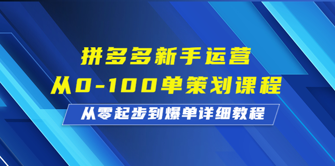 图片[1]-新手运营从0到100单，拼多多新手策划课程，从入门到爆单！-阿灿说钱