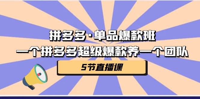 拼多多·单品爆款班，一个拼多多超级爆款养一个团队（5节直播课）-个人经验技术分享