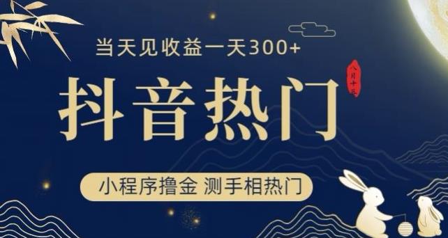 抖音最新小程序撸金，测手相上热门，当天见收益一小时变现300+【揭秘】-个人经验技术分享