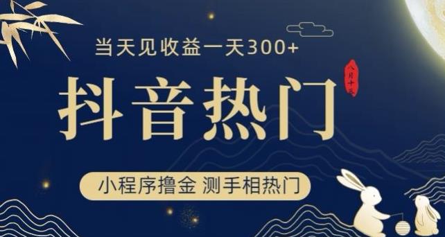 抖音最新小程序撸金，测手相上热门，当天见收益一小时变现300 【揭秘】