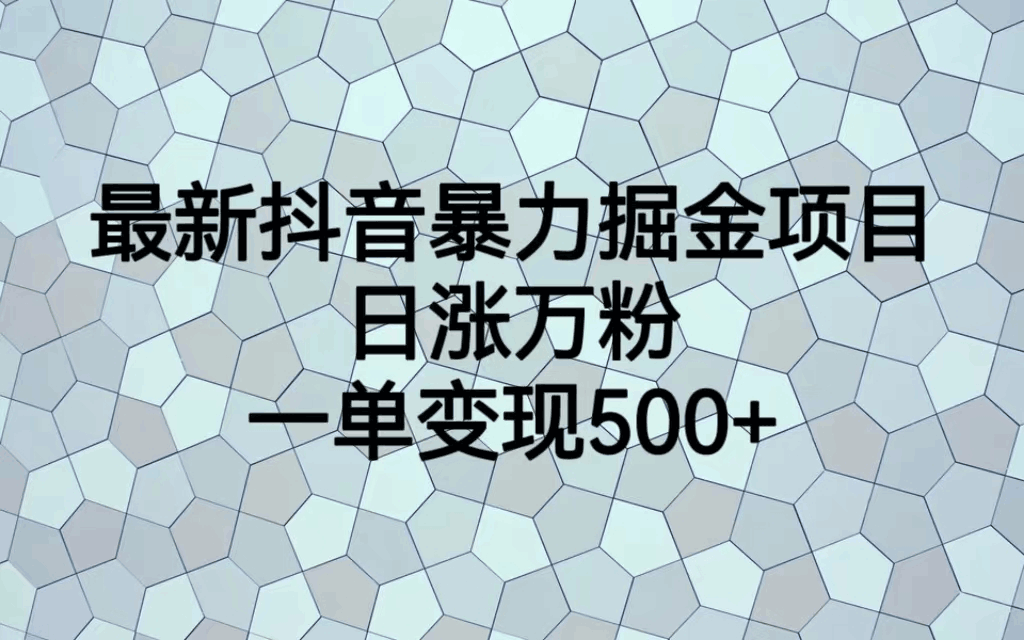 图片[1]-最火热的抖音暴力掘金项目，日涨万粉，多种变现方式，一单变现可达500+-阿灿说钱