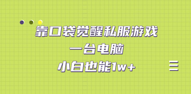 图片[1]-靠口袋觉醒私服游戏，一台电脑，小白也能1w+（教程+工具+资料）-阿灿说钱