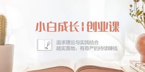 小白成长|创业课:追求理论与实践结合,踏实落地,有尊严的持续赚钱-42节-个人经验技术分享