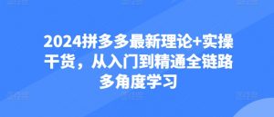 2024拼多多进阶宝典：从防比价到自然流，全攻略实操教学-个人经验技术分享