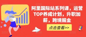 阿里国际站系列课，运营TOP养成计划，升职加薪，跨境掘金-个人经验技术分享