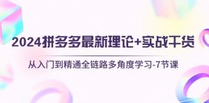 2024拼多多 最新理论+实战干货,从入门到精通全链路多角度学习-7节课-个人经验技术分享