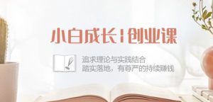 小白成长创业课:追求理论与实践结合,踏实落地,有尊严的持续赚钱-42节-个人经验技术分享