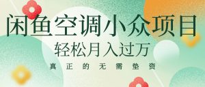 闲鱼卖空调，蓝海小众项目 轻松月入过万 真正的无需垫资金-个人经验技术分享