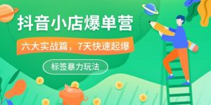 抖音小店-爆单营,6大 实战篇,7天 快速起爆,标签暴力玩法(41节课)-个人经验技术分享