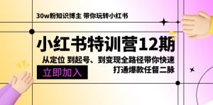小红书特训营12期:从定位 到起号、到变现全路径带你快速打通爆款任督二脉-个人经验技术分享