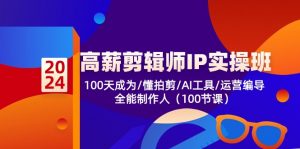 高薪-剪辑师IP实操班-第2期，100天成为懂拍剪/AI工具/运营编导/全能制作人-个人经验技术分享