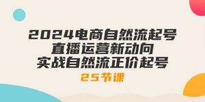 2024电商自然流起号，直播运营新动向 实战自然流正价起号-25节课-个人经验技术分享