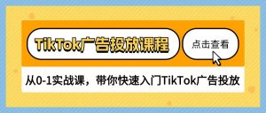 TikTok广告投放课程，从0-1实战课，带你快速入门TikTok广告投放（30节课）-个人经验技术分享