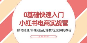 0基础快速入门-小红书电商实战营：账号搭建/开店/选品/爆款/全套保姆教程-个人经验技术分享