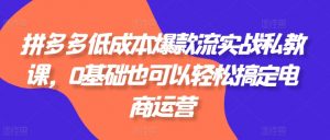 拼多多低成本爆款流实战私教课，0基础也可以轻松搞定电商运营-个人经验技术分享