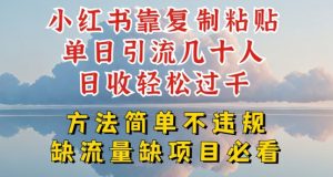 小红书靠复制粘贴单日引流几十人目收轻松过千，方法简单不违规【揭秘】-个人经验技术分享