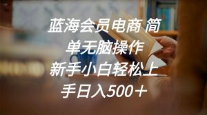 蓝海会员电商 简单无脑操作 新手小白轻松上手日入500-个人经验技术分享