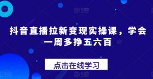 抖音直播拉新变现实操课,学会一周多挣五六百-个人经验技术分享