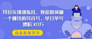 抖音实训训练营，教你如何做一个赚钱的抖音号，单日单号增粉30万-个人经验技术分享