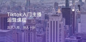 Tiktok入门主播运营课程,及早入局,快人一步(11节)-个人经验技术分享
