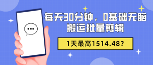 每天30分钟,0基础无脑搬运批量剪辑,1天最高1514.48?-个人经验技术分享