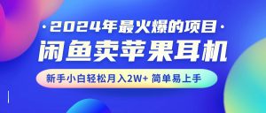 2024年最火爆的项目,闲鱼卖苹果耳机,新手小白轻松月入2W+简单易上手-个人经验技术分享