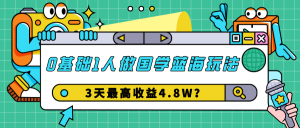 0基础1人做国学蓝海玩法，3天最高收益4.8W？-个人经验技术分享
