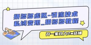 拼多多虚拟-引流技术与私域变现_拼多多教程：开一家月入2w店铺-个人经验技术分享