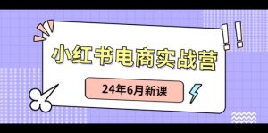 小红书电商实战营：小红书笔记带货和无人直播，24年6月新课-个人经验技术分享
