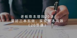 老板 降本增效20讲,管好 三本五效,实现低本高效(20节课)-个人经验技术分享