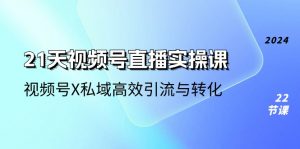 21天-视频号直播实操课，视频号X私域高效引流与转化（22节课）-个人经验技术分享