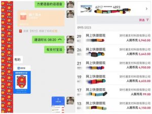 每天20分钟打理京东低价货,一件代发-轻松月入5W＋-个人经验技术分享